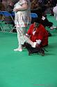 Crufts2011_2 639